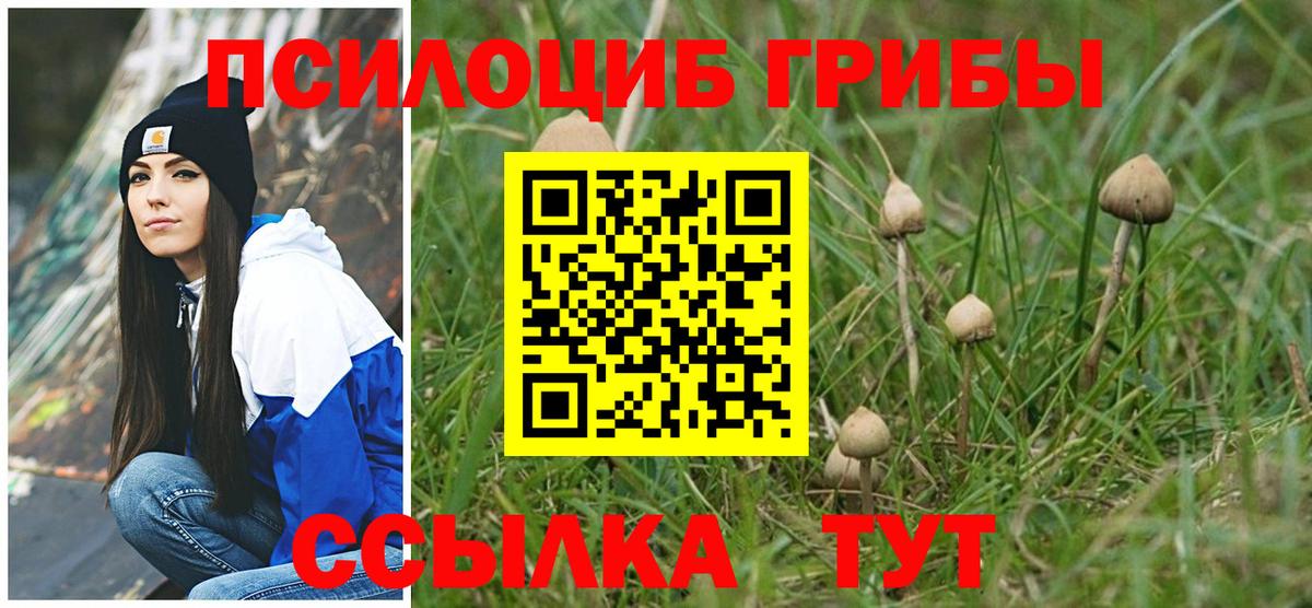 цены наркотик  Галлюциногенные грибы мухоморы  Артёмовский  Псилоцибиновые грибы ЛСД 