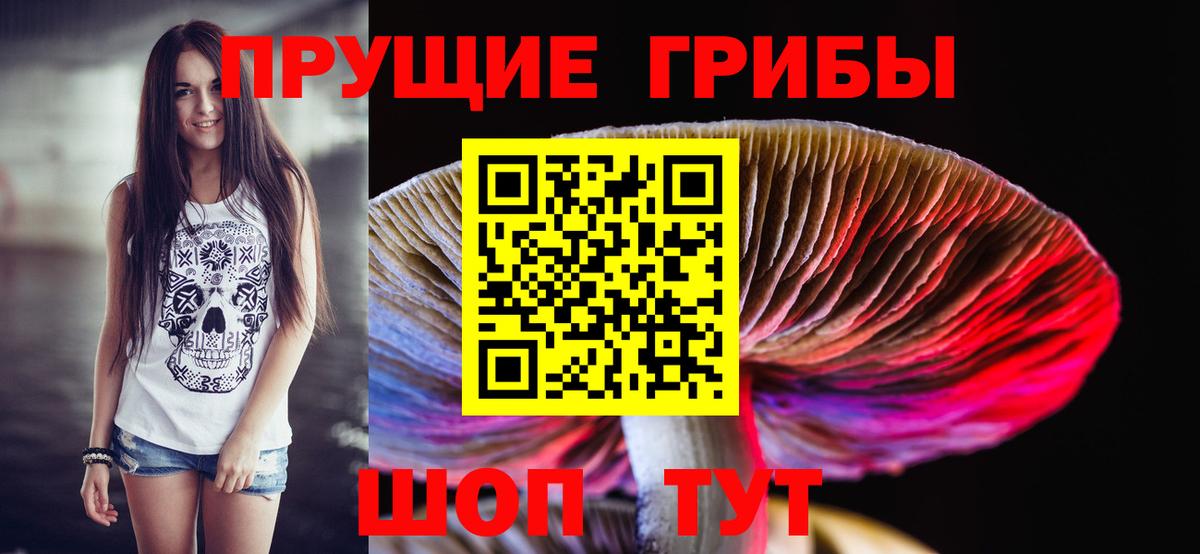 Галлюциногенные грибы прущие грибы  Вход с VPN  Артёмовский  Псилоцибиновые грибы мицелий 